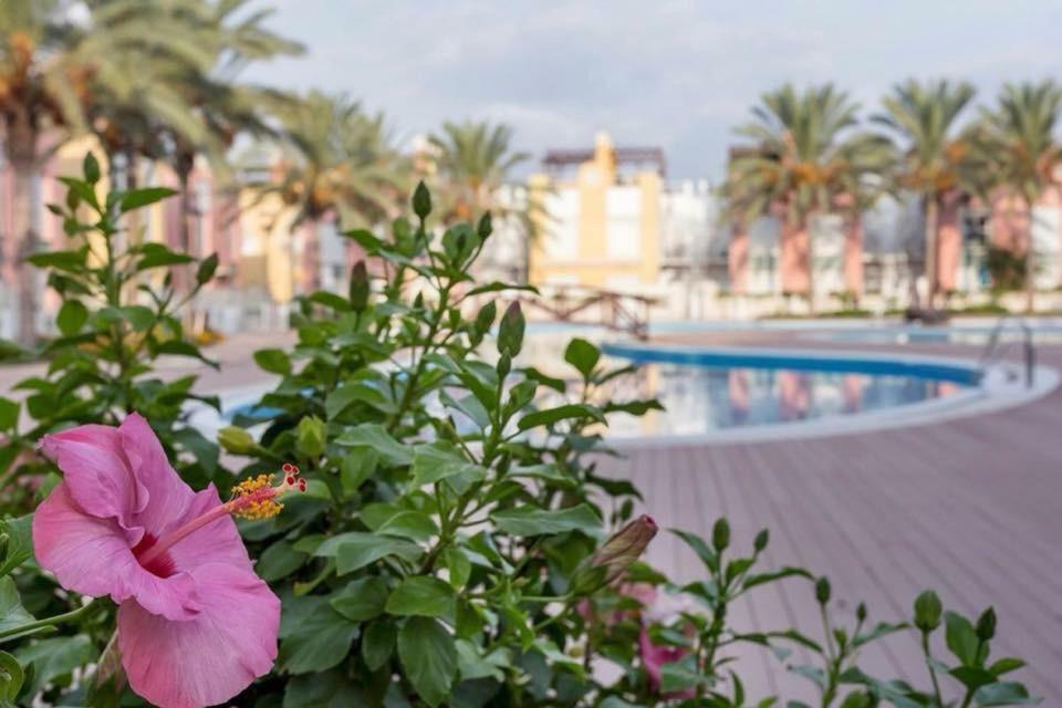 Atico Del Sol Laguna Beach Vera Playa Екстериор снимка